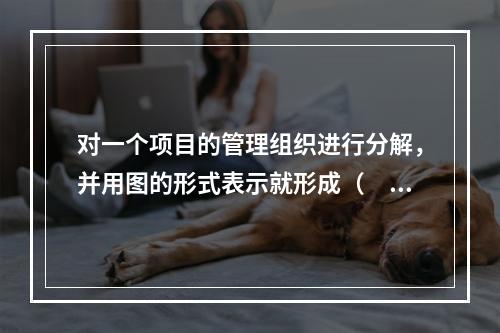 对一个项目的管理组织进行分解，并用图的形式表示就形成（　）。