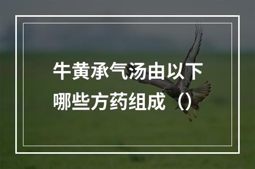 牛黄承气汤由以下哪些方药组成（）