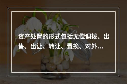 资产处置的形式包括无偿调拨、出售、出让、转让、置换、对外捐赠