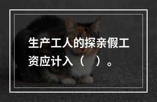 生产工人的探亲假工资应计入（　）。