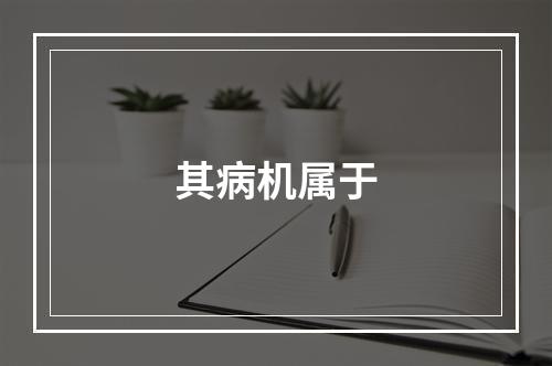 其病机属于