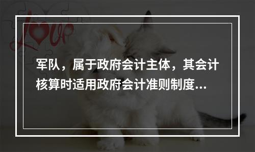 军队，属于政府会计主体，其会计核算时适用政府会计准则制度。（