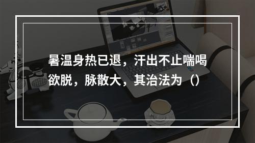 暑温身热已退，汗出不止喘喝欲脱，脉散大，其治法为（）