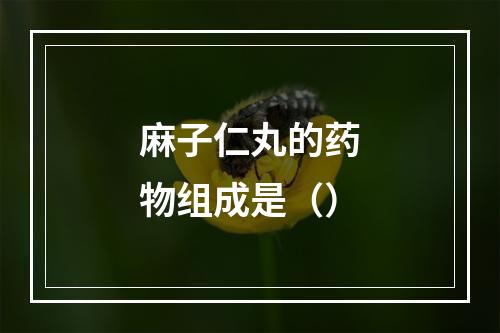 麻子仁丸的药物组成是（）