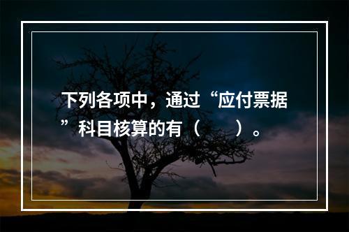 下列各项中，通过“应付票据”科目核算的有（　　）。