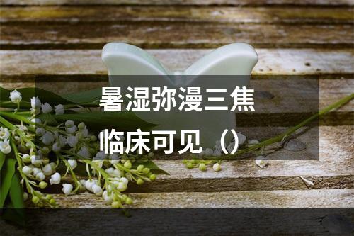 暑湿弥漫三焦临床可见（）