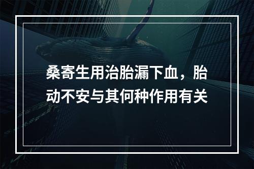 桑寄生用治胎漏下血，胎动不安与其何种作用有关