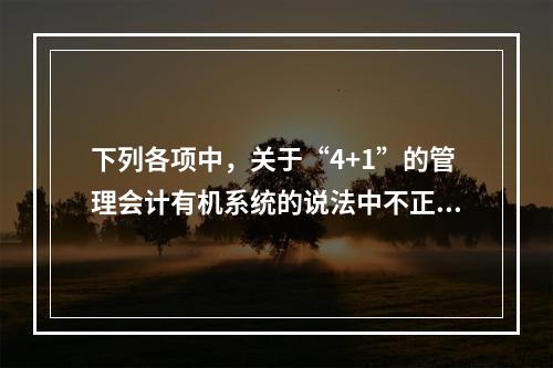 下列各项中，关于“4+1”的管理会计有机系统的说法中不正确的