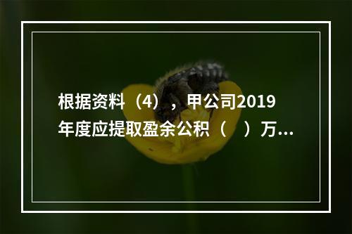 根据资料（4），甲公司2019年度应提取盈余公积（　）万元。