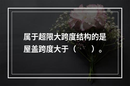 属于超限大跨度结构的是屋盖跨度大于（　　）。