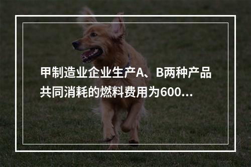 甲制造业企业生产A、B两种产品共同消耗的燃料费用为6000元