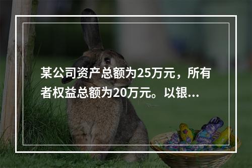 某公司资产总额为25万元，所有者权益总额为20万元。以银行存