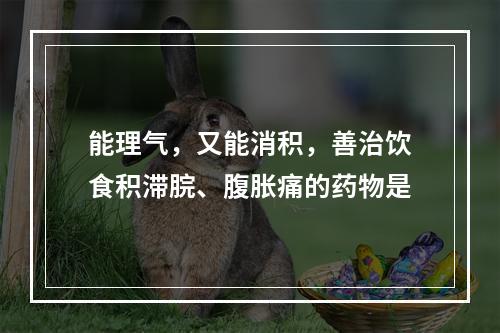 能理气，又能消积，善治饮食积滞脘、腹胀痛的药物是