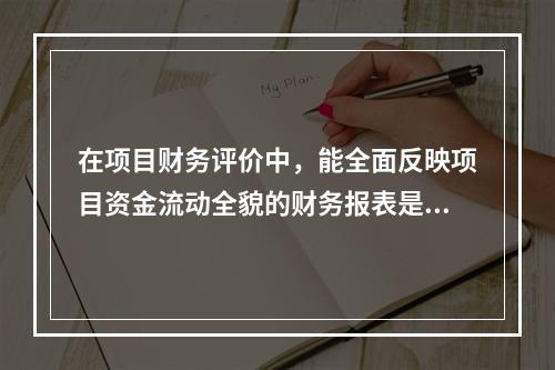 在项目财务评价中，能全面反映项目资金流动全貌的财务报表是（