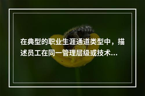 在典型的职业生涯通道类型中，描述员工在同一管理层级或技术、