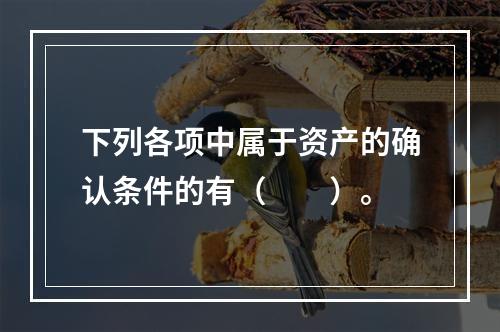 下列各项中属于资产的确认条件的有（　　）。