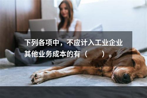 下列各项中，不应计入工业企业其他业务成本的有（　　）。