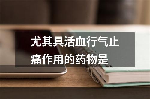 尤其具活血行气止痛作用的药物是