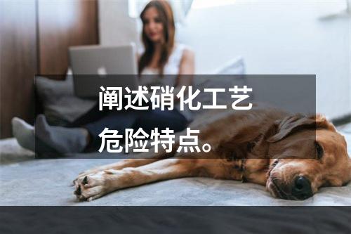 阐述硝化工艺危险特点。