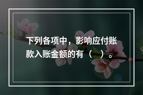 下列各项中，影响应付账款入账金额的有（　）。