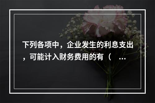 下列各项中，企业发生的利息支出，可能计入财务费用的有（　）。