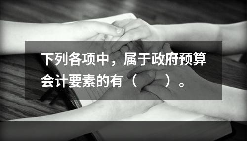 下列各项中，属于政府预算会计要素的有（　　）。