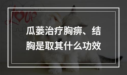 瓜蒌治疗胸痹、结胸是取其什么功效