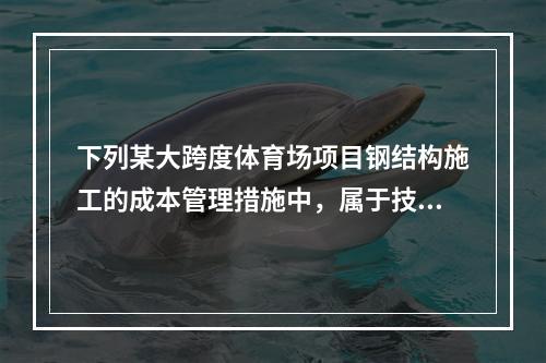 下列某大跨度体育场项目钢结构施工的成本管理措施中，属于技术措