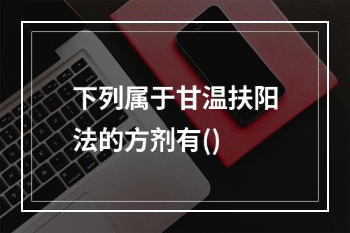 下列属于甘温扶阳法的方剂有()