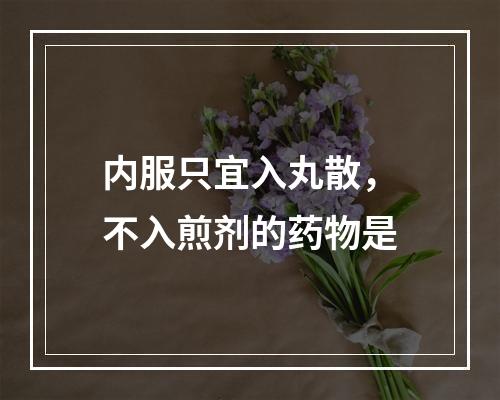 内服只宜入丸散，不入煎剂的药物是