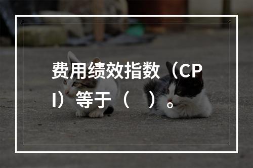 费用绩效指数（CPI）等于（　）。