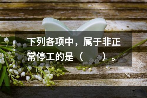 下列各项中，属于非正常停工的是（　　）。