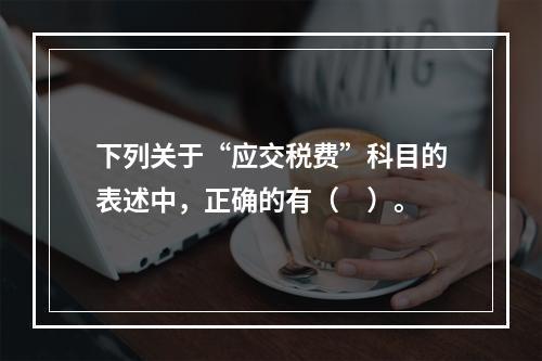 下列关于“应交税费”科目的表述中，正确的有（　）。