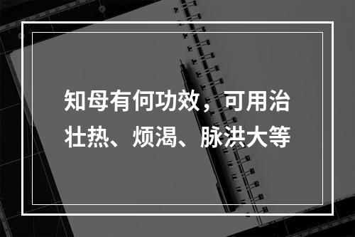 知母有何功效，可用治壮热、烦渴、脉洪大等