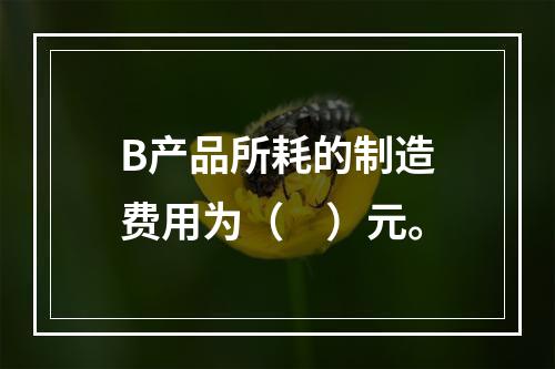 B产品所耗的制造费用为（　）元。