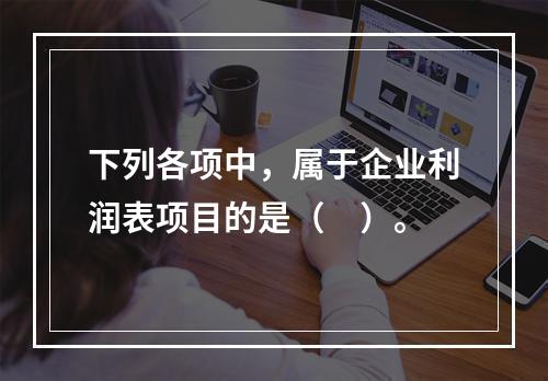 下列各项中，属于企业利润表项目的是（　）。