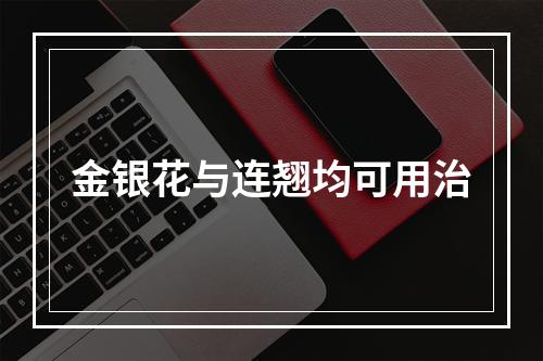 金银花与连翘均可用治