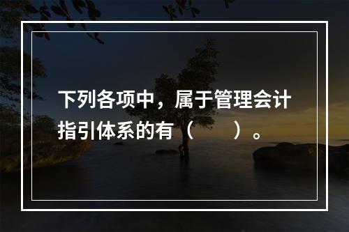 下列各项中，属于管理会计指引体系的有（　　）。