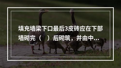 填充墙梁下口最后3皮砖应在下部墙砌完（　）后砌筑，并由中间开