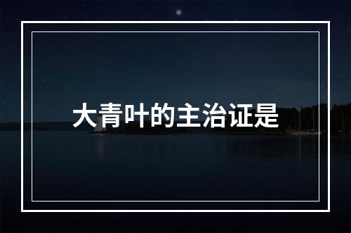 大青叶的主治证是