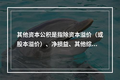 其他资本公积是指除资本溢价（或股本溢价）、净损益、其他综合收