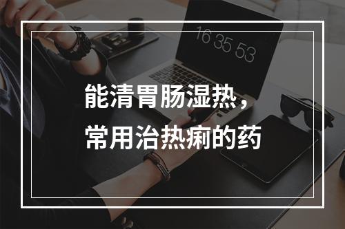 能清胃肠湿热，常用治热痢的药