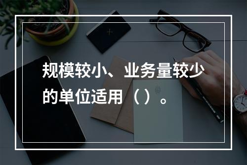 规模较小、业务量较少的单位适用（ ）。