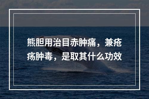 熊胆用治目赤肿痛，兼疮疡肿毒，是取其什么功效