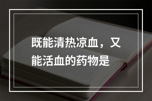 既能清热凉血，又能活血的药物是