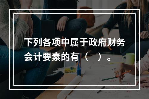 下列各项中属于政府财务会计要素的有（　）。