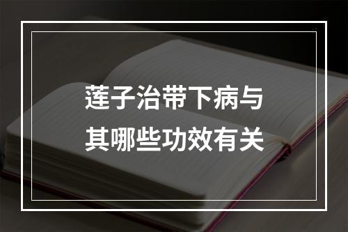 莲子治带下病与其哪些功效有关