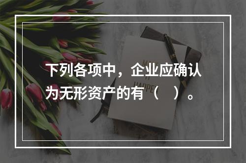 下列各项中，企业应确认为无形资产的有（　）。