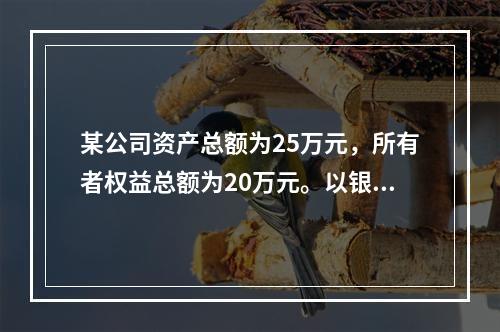 某公司资产总额为25万元，所有者权益总额为20万元。以银行存