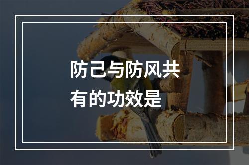 防己与防风共有的功效是